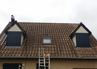 Toiture avant démoussage